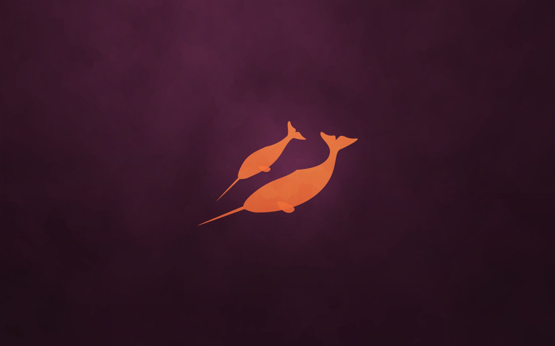 natty narwhal minimalismo violeta ubuntu fondo emblemas