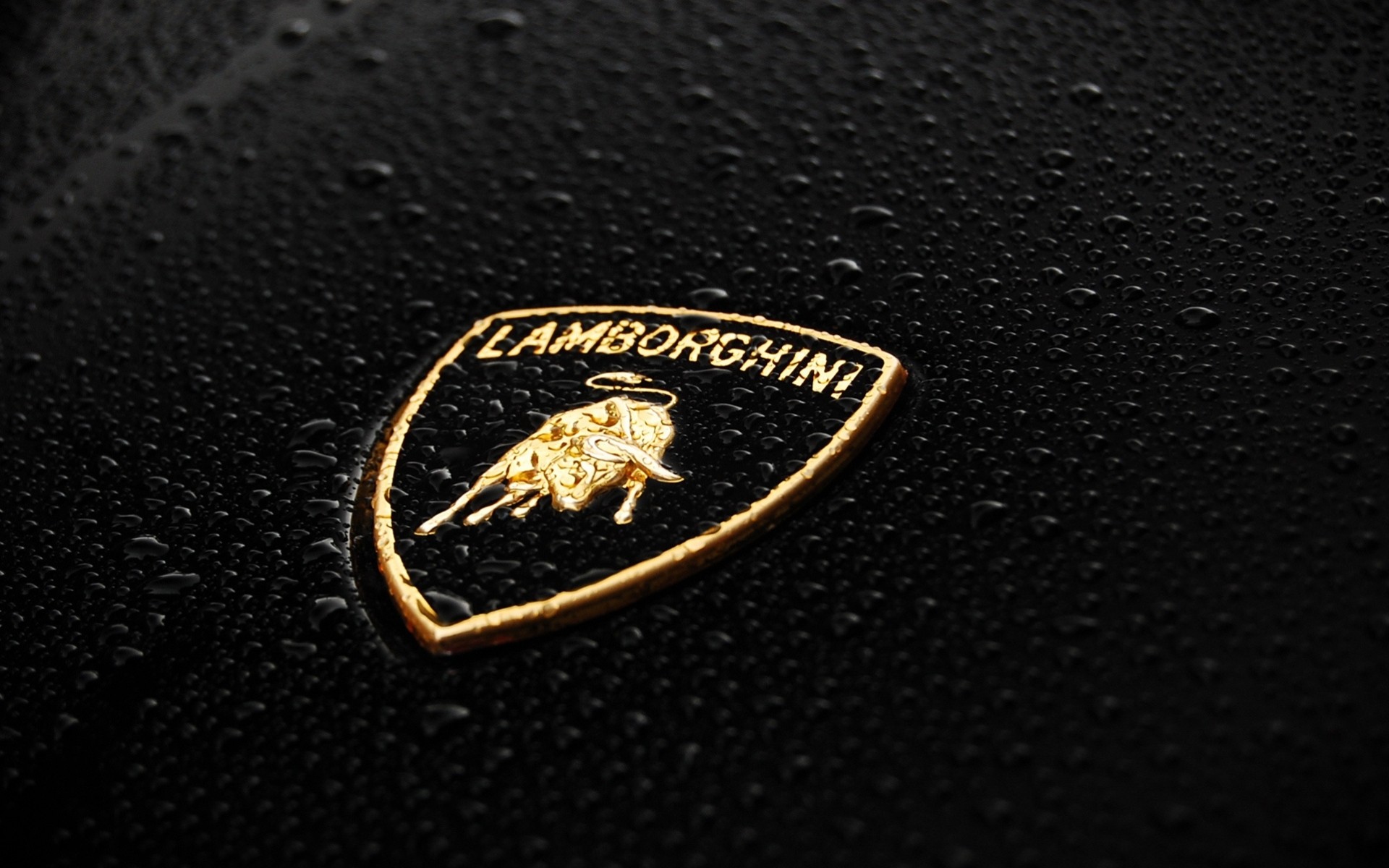 emblema lamborghini insignia