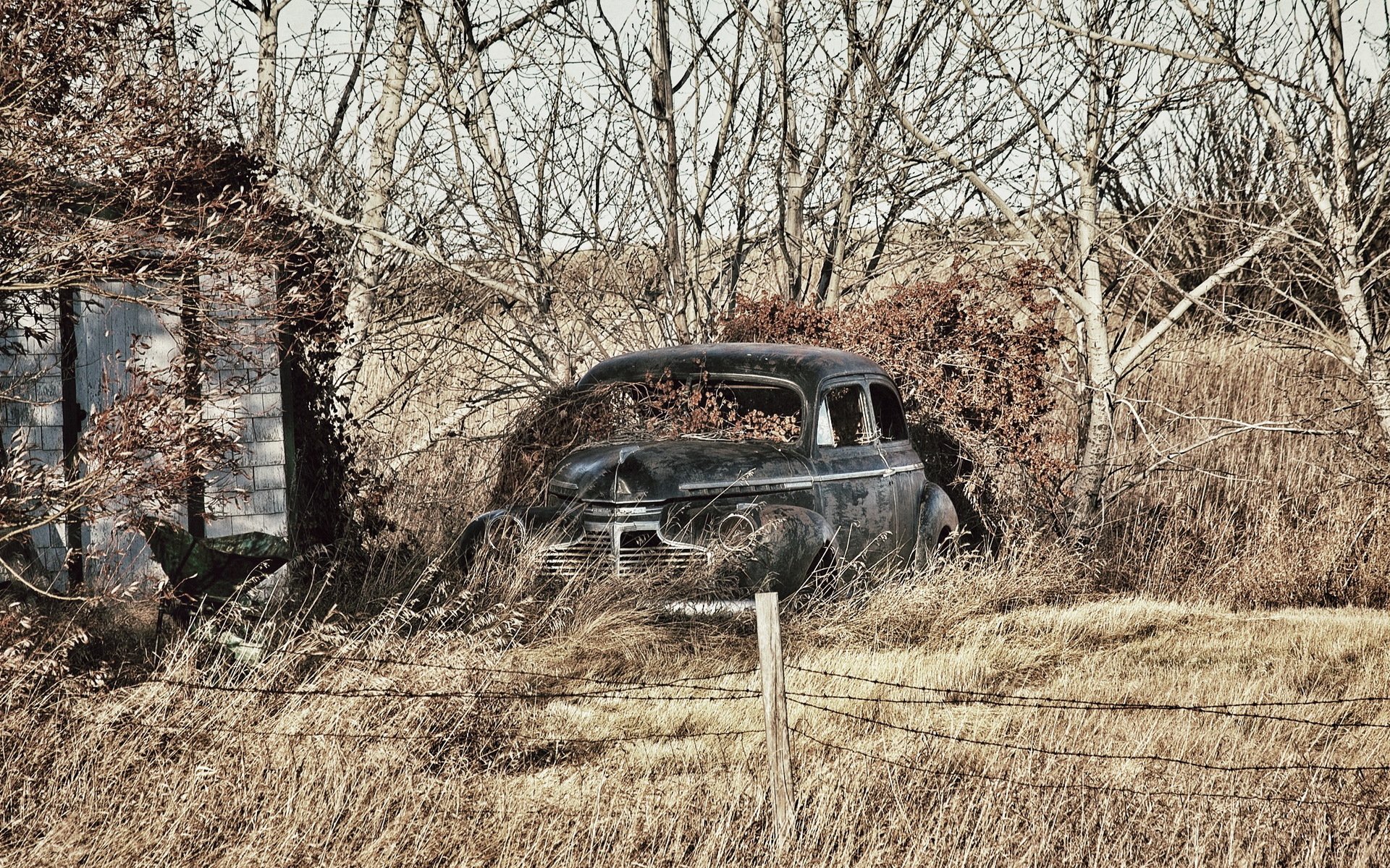 voiture maison herbe