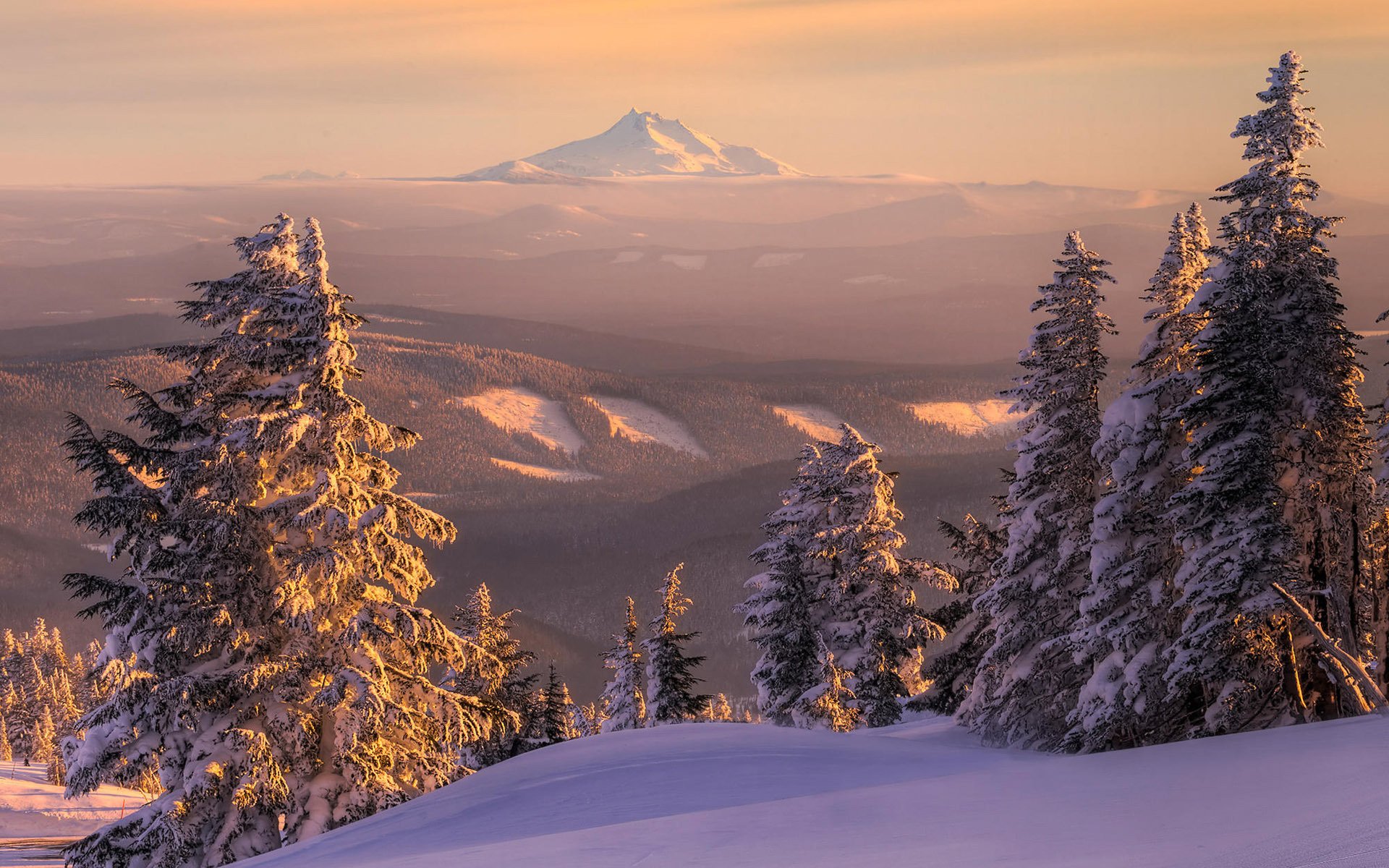 paesaggio neve abete rosso montagna natura orizzonte inverno foresta tramonto cumuli di neve vista albero di natale