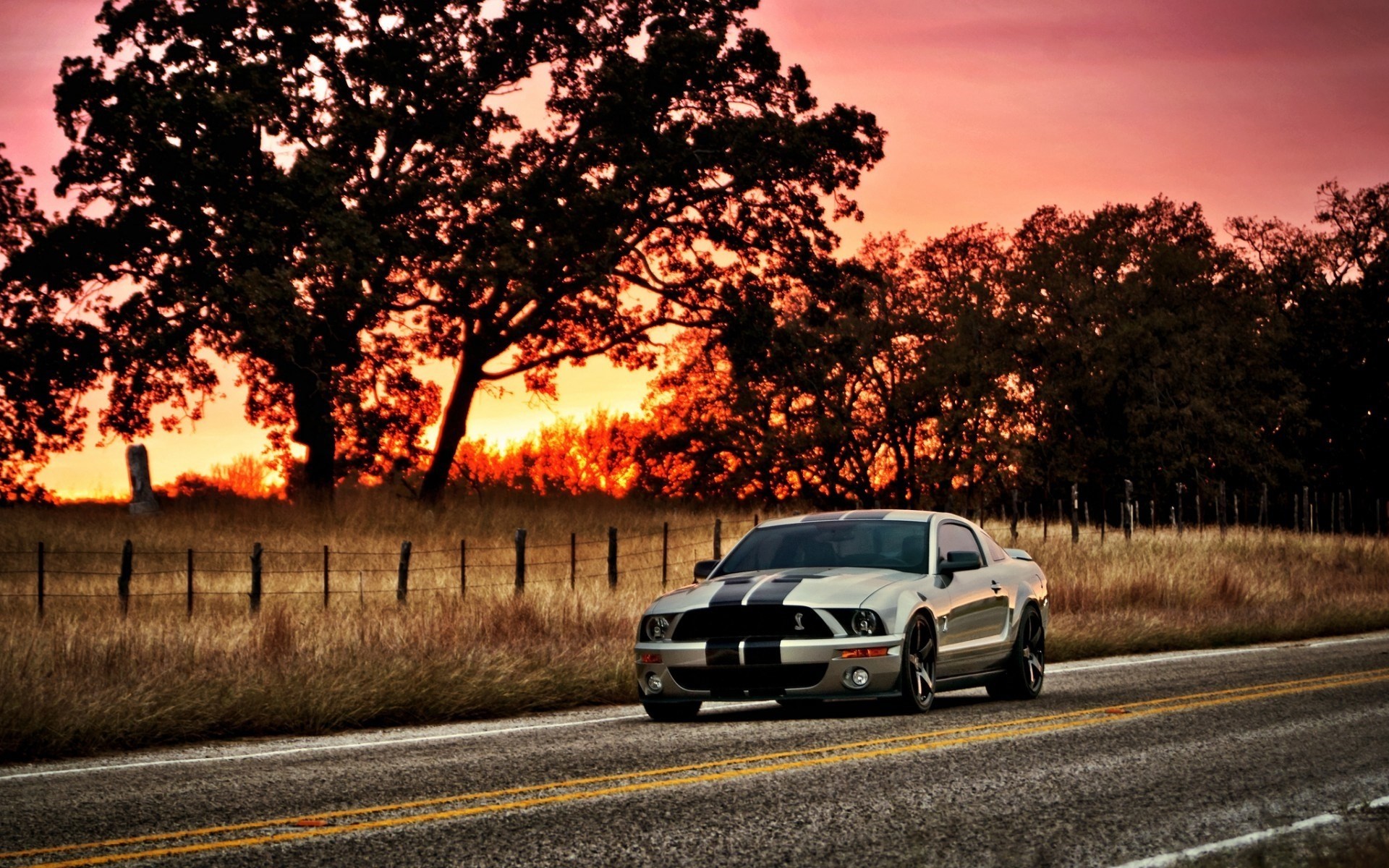 mustang gt500 coche shelby ford