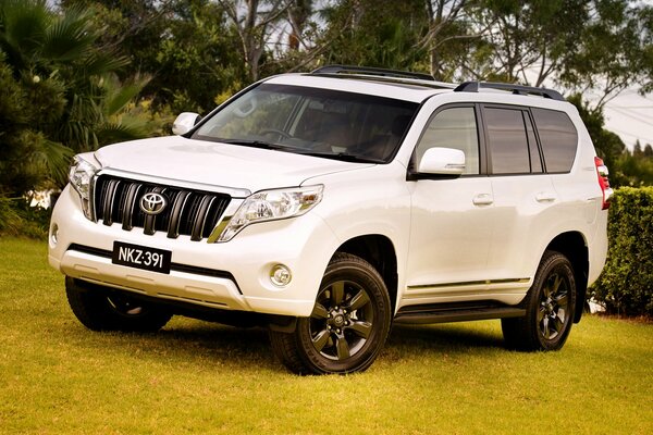 White Toyota land cruiser on a landscape background