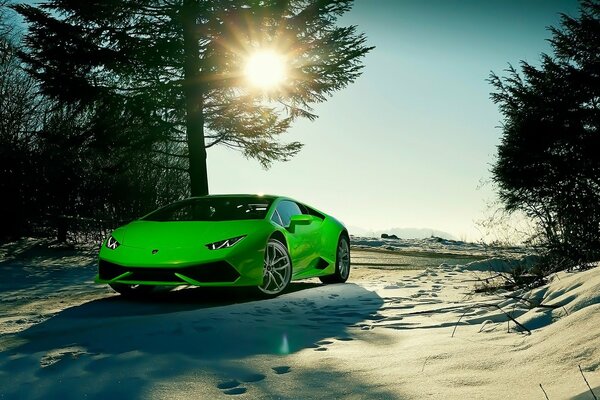 A light green Lamborghini Urakan car on the sand under a tree