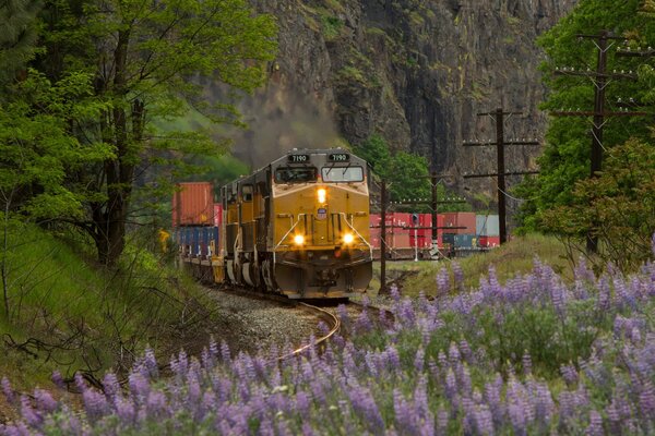 Railway locomotive nature