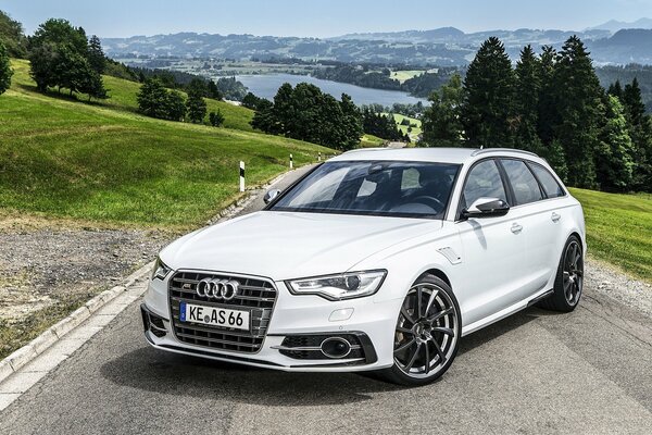 Audi car stands against the background of nature