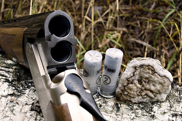 Fusil de chasse sur une bûche dans la forêt