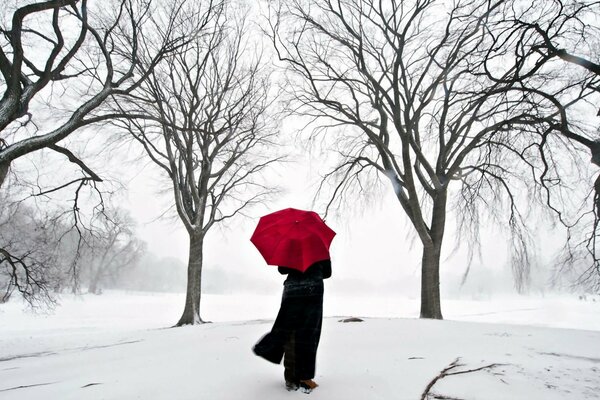 Parc d hiver et parapluie de style japonais