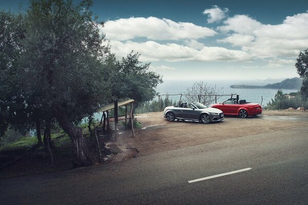 Audi TT et Roadster dans le parking avec vue sur la mer