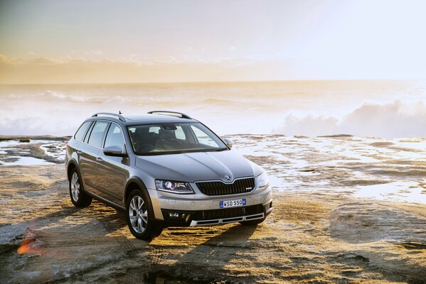 2015 schicker Skoda Octavia des Jahres