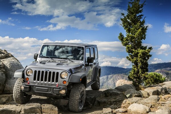 Amerikanischer Jeep 2013 im Gelände