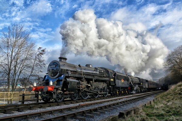 Steam locomotive on the railway road running along the forest