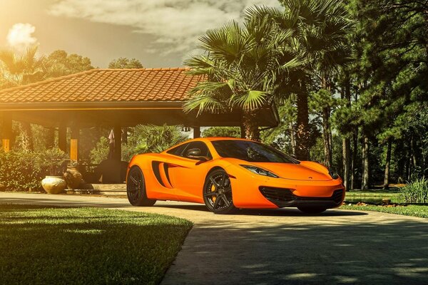 Sur la route sous les palmiers - une supercar orange vif McLaren