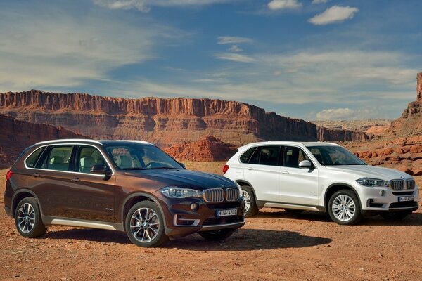 Canyon, Auto przodek BMW x5