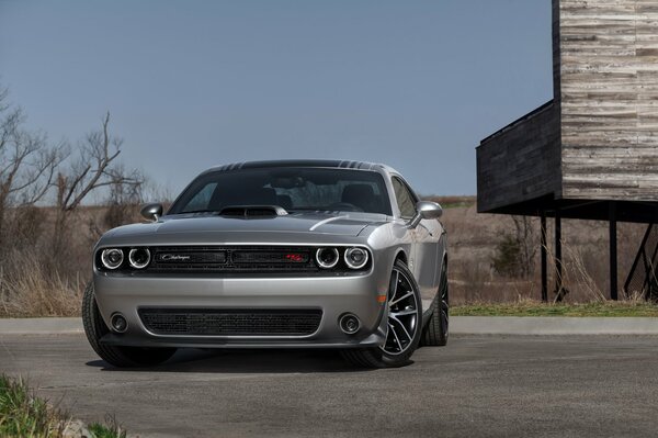 Grey Dodge, Challenger 2015 in the light of day