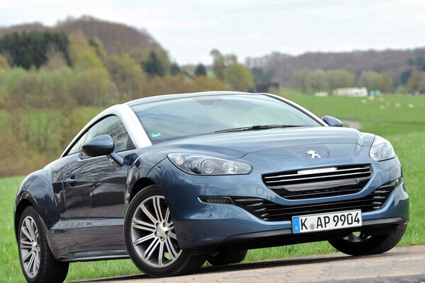 Peugeot on the background of green meadows