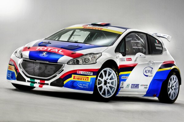 Peugeot Racing pour les courses de rallye