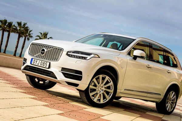 White Volvo on the beach in Dubai