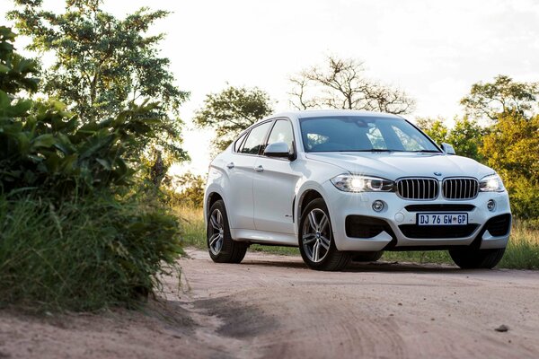 Bmw, x6 on a dirt road near a bush