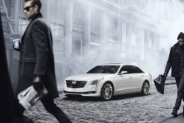 A noir white Cadillac among stylish everyday life