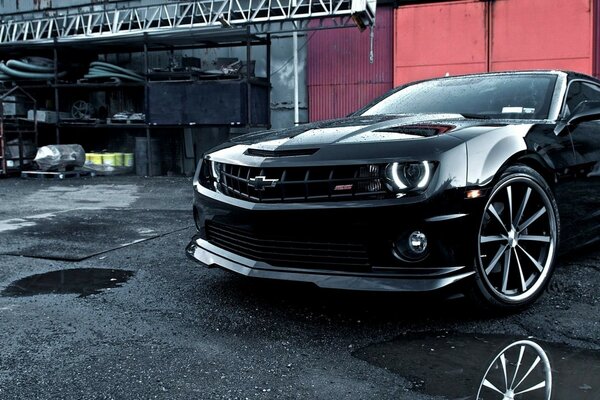 Car black camaro ss