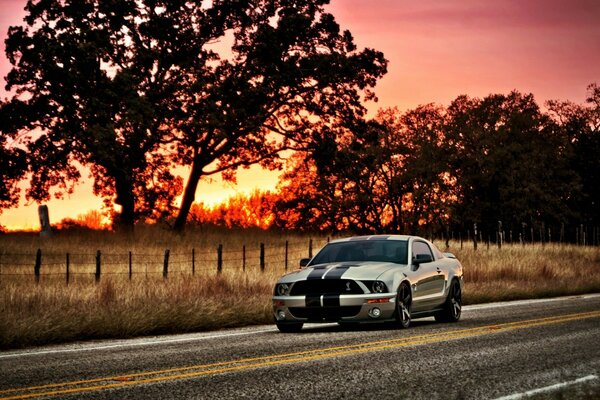 El legendario Shelby rueda hacia la puesta de sol