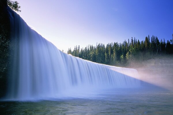 Cascade naturelle avec forêt