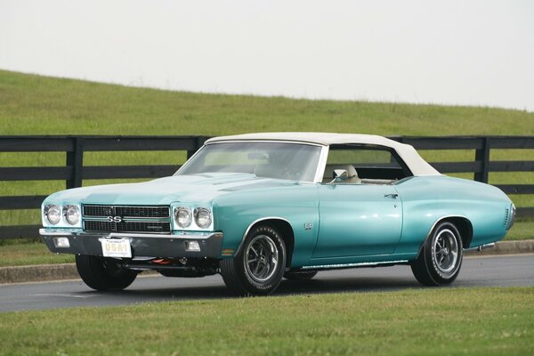 Retro car on a background of green grass