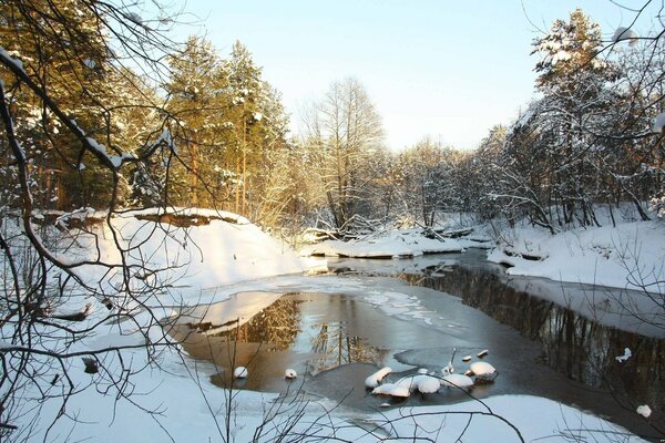 The melted forest lake in the spring thaw