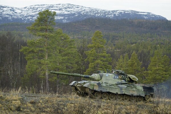 Réservoir leopard1 sur fond de montagnes et d arbres