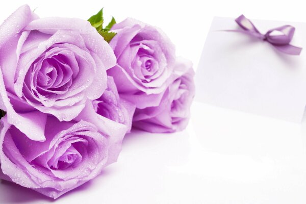 Bouquet de roses lilas et une enveloppe avec un ruban