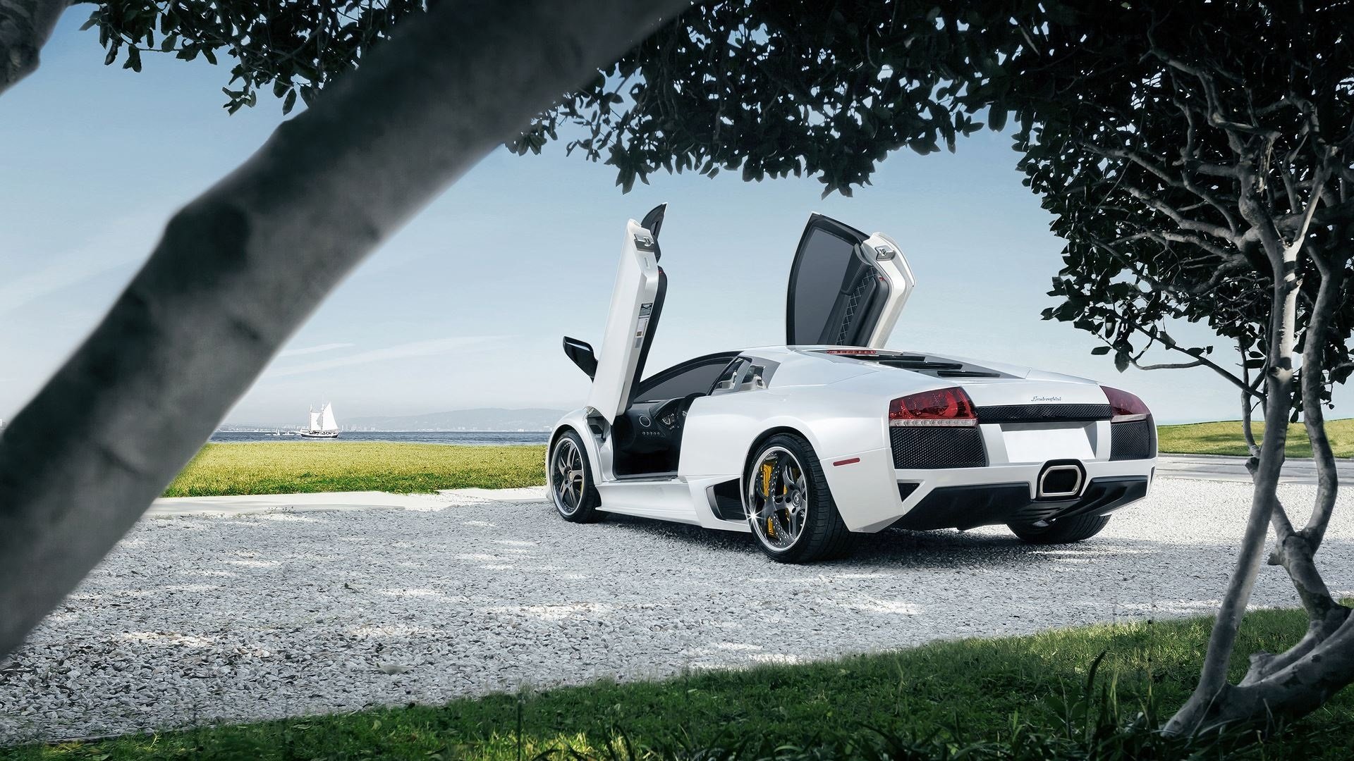 lamborghini murcielago lp640-4 bianco supercar alberi erba cielo sole posteriore