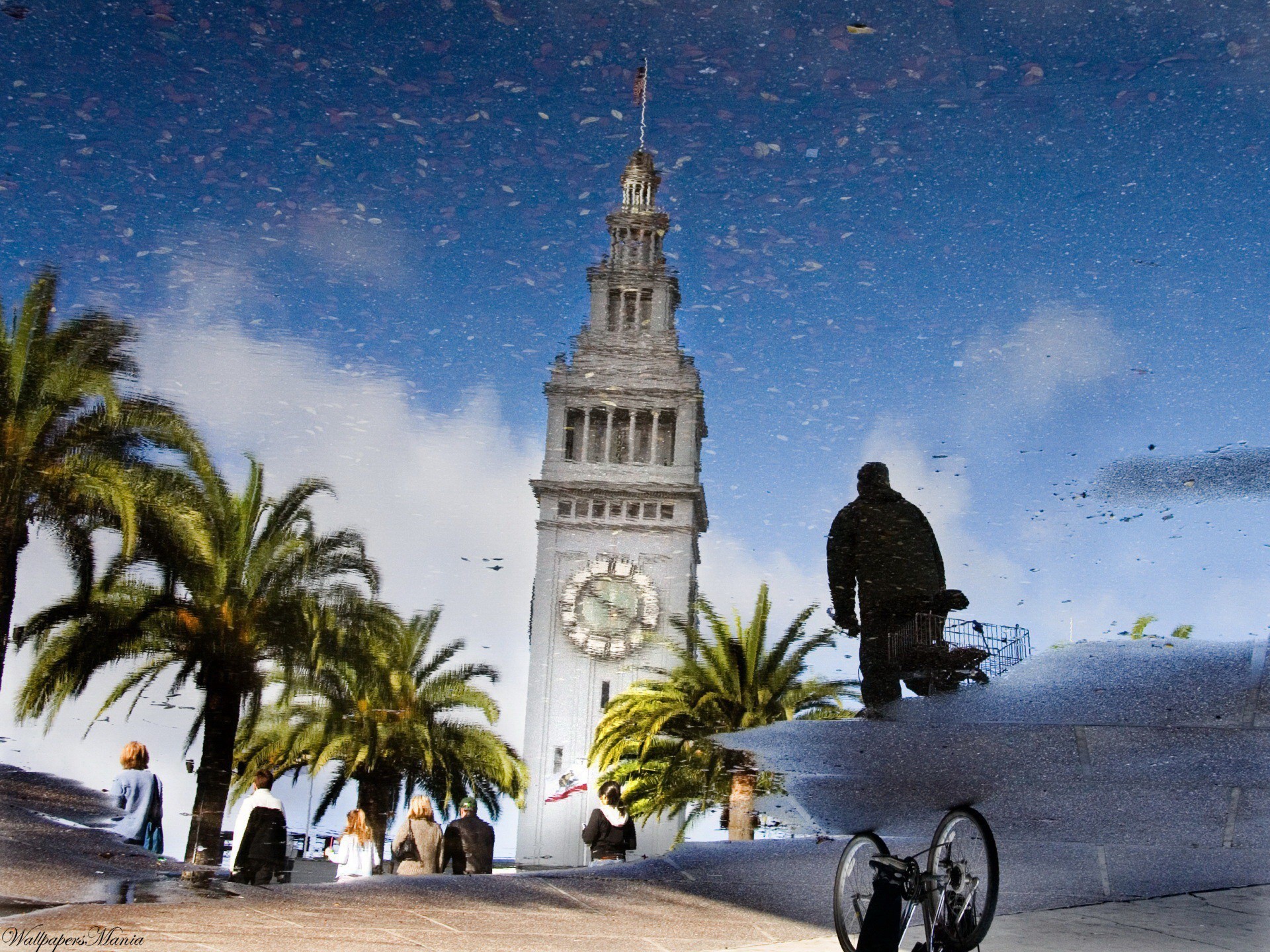 riflessione pozzanghera torre