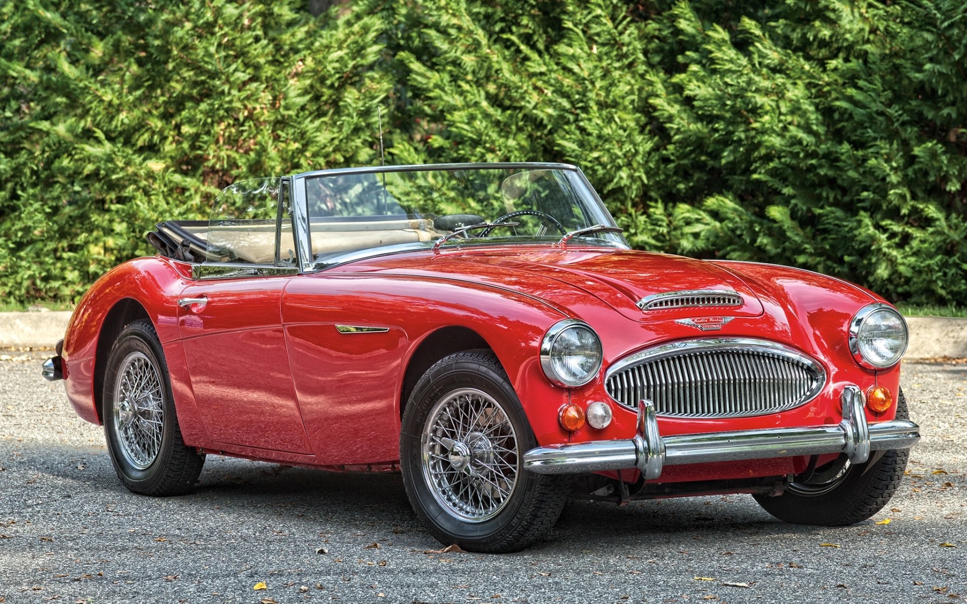 austin healey bj8 roadster 1966 austin healey red classic front bushes background