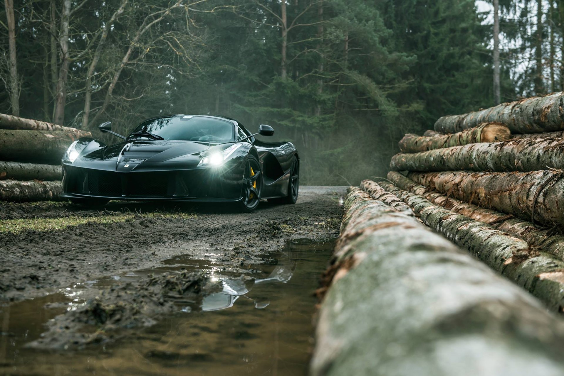 ferrari laferrari noir supercar avant sombre forêt