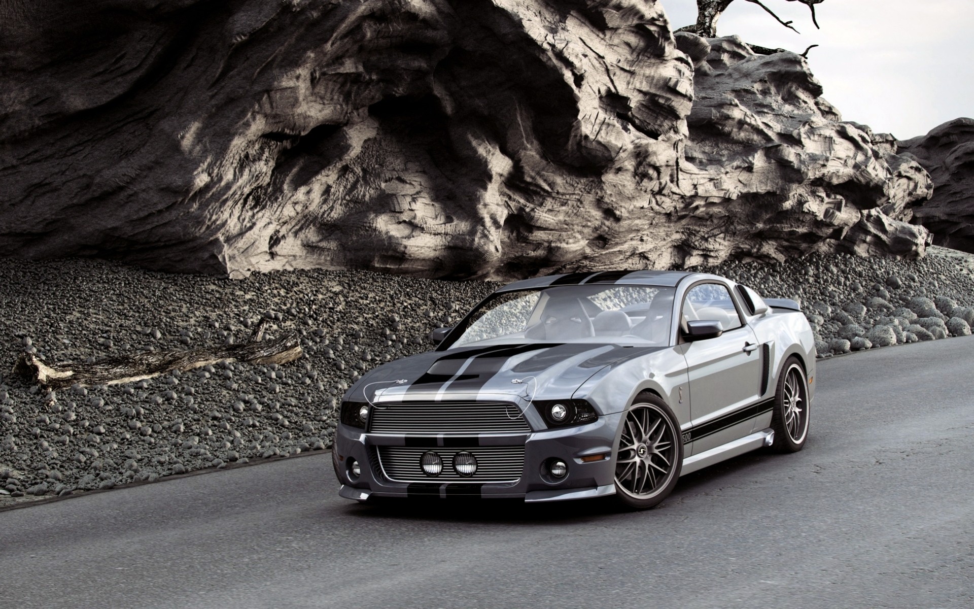 mustang gris coche ford orden