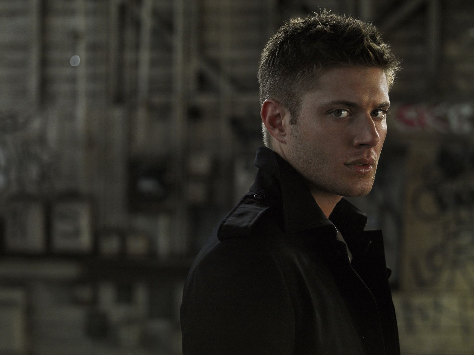 supernatural ackles przystojny spojrzenie portret tło włosy płaszcz oczy twarz jensen ackles