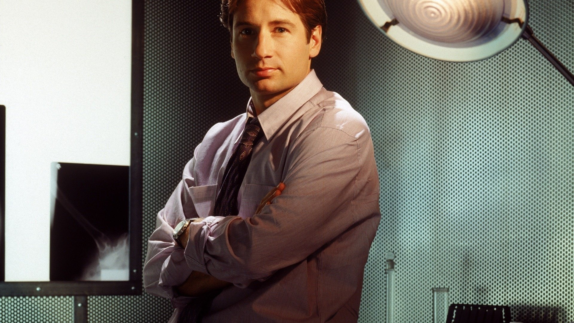 fox mulder die x-dateien david duchovny blick schauspieler augen gesicht porträt david duchovny