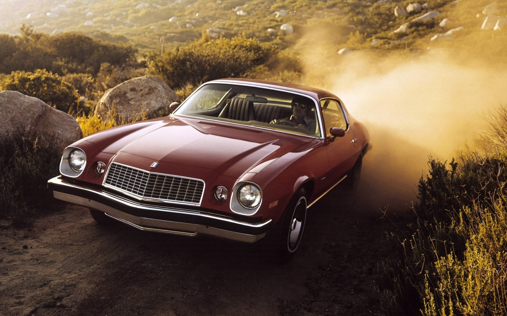 chevrolet camaro sport coupé 1974 chevrolet camaro avant poussière