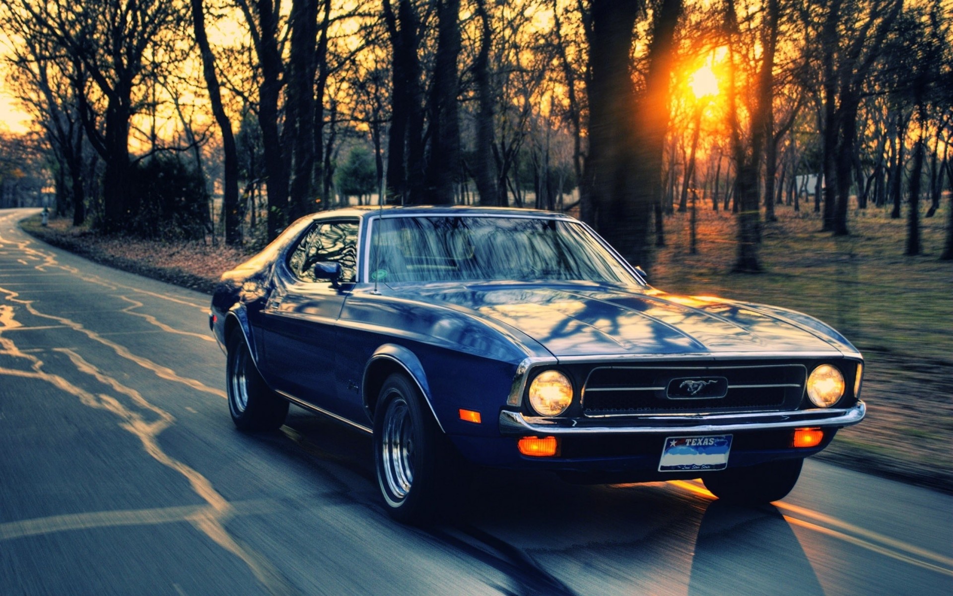 car ford mustang motion