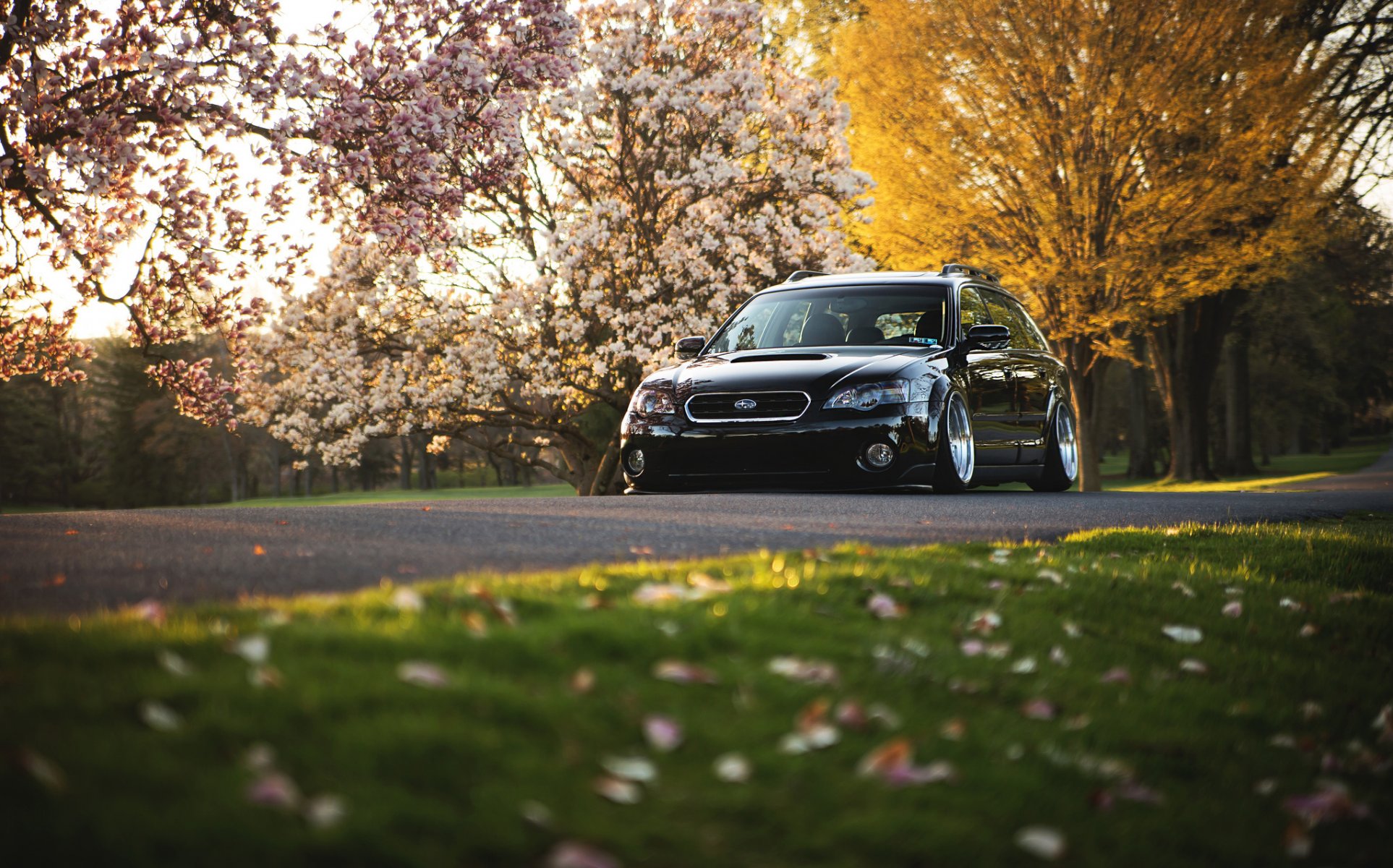 ubaru outback black position subaru black