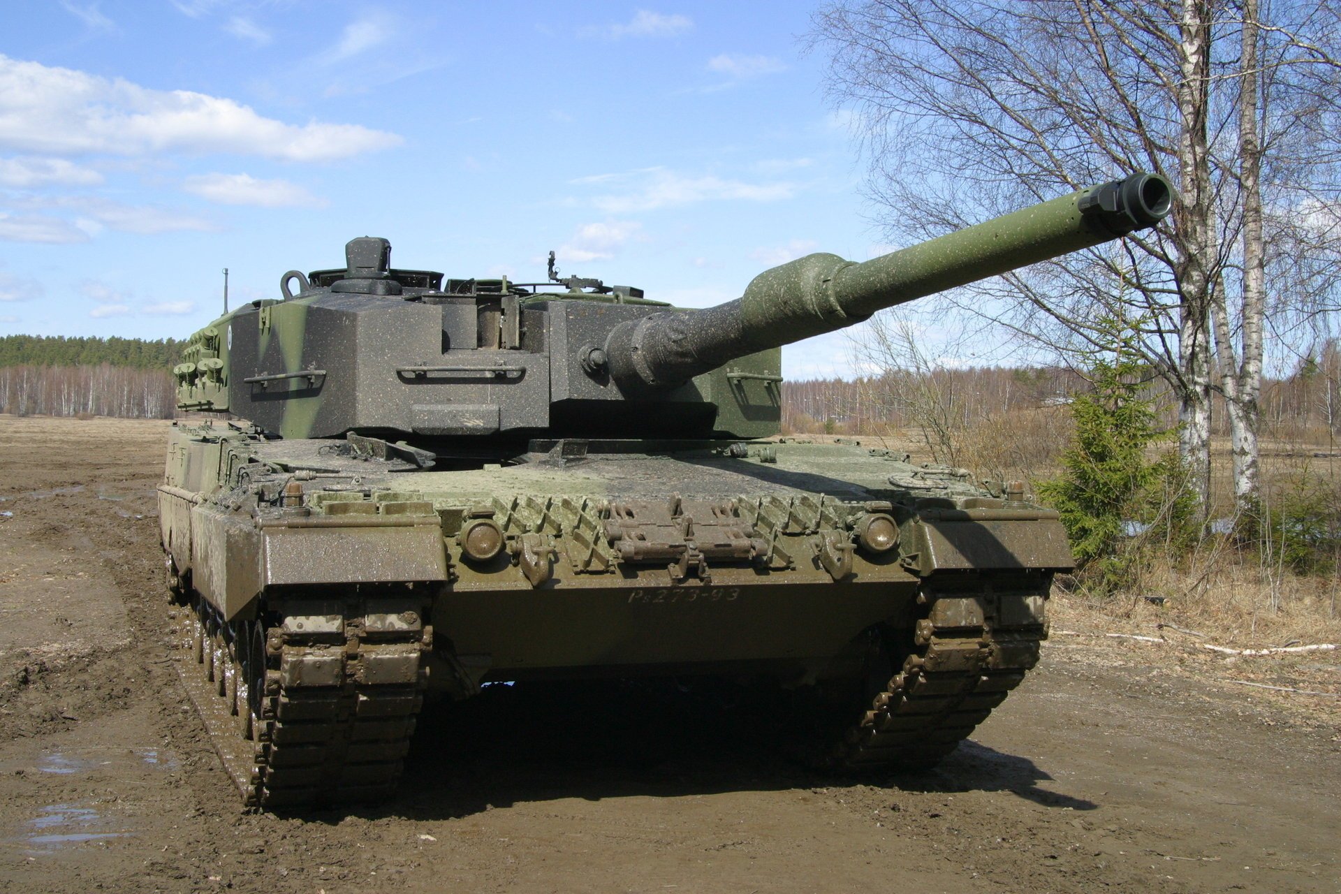 tank birke leopard militärische ausrüstung russland wald bäume feld natur blies