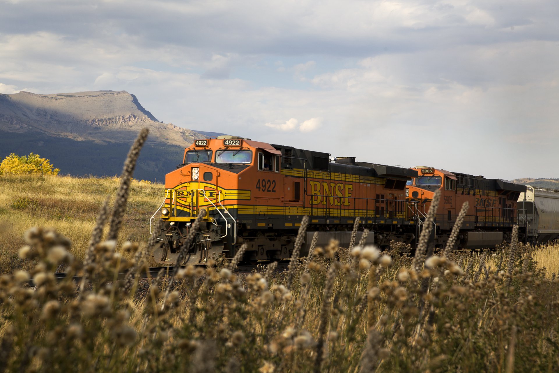 train chemin de fer locomotive wagons rails nature