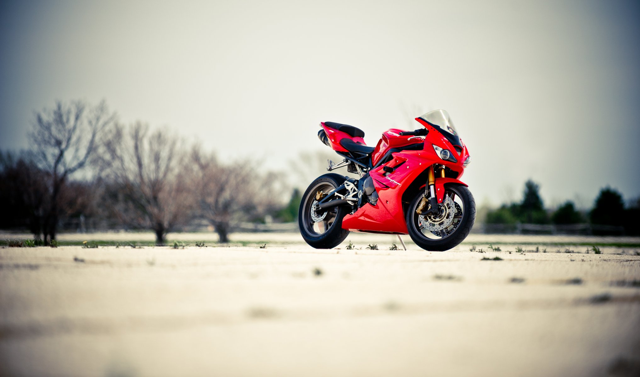 triumph daytona 675 rosso bicicletta daytona moto rosso alberi cielo