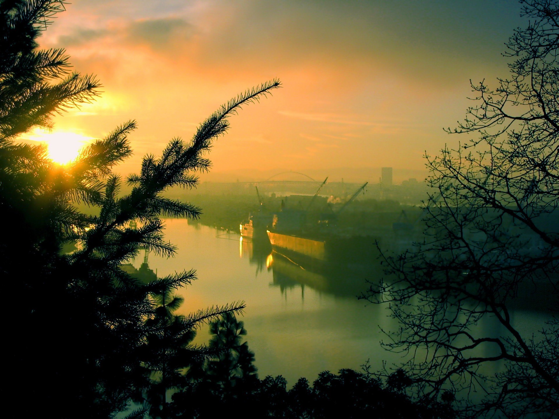 matin port arbres