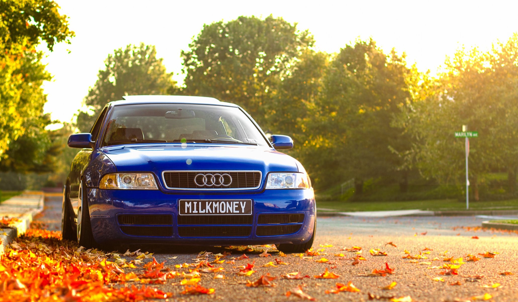 audi a4 blue audi blue before autumn foliage