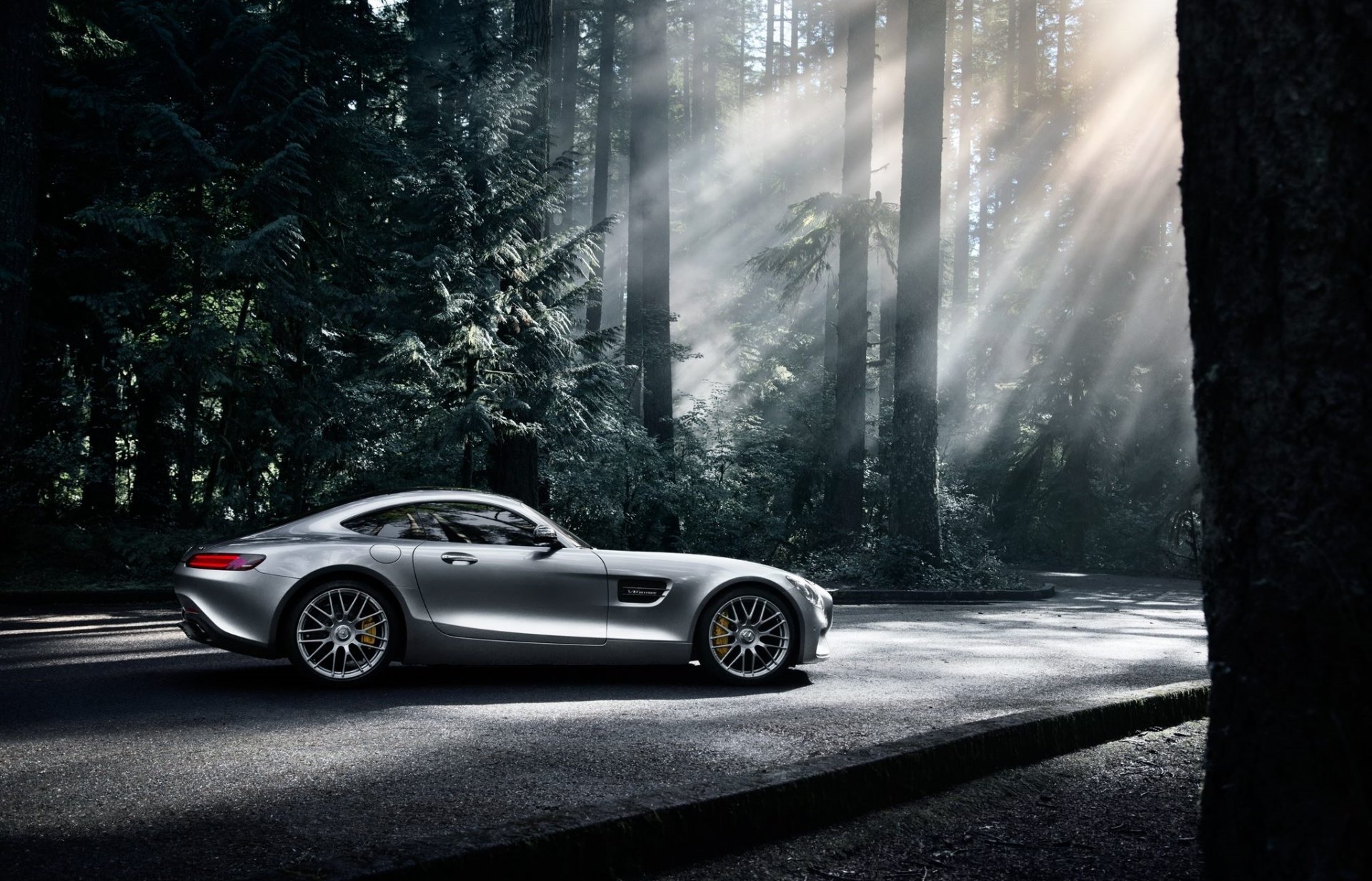 mercedes-benz amg gt s 2016 silber farbe sonne dunkel wald seite