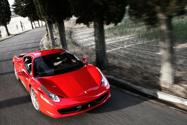 Ferrari asfalto, coche deportivo, en movimiento, rojo