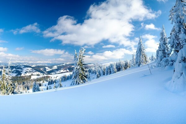 Pendio di una montagna bianca come la neve e un albero di Natale nella neve su uno sfondo di cielo blu