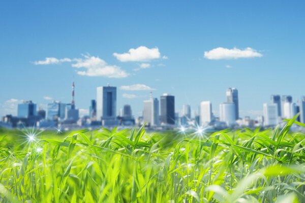 Auf blauem Himmelshintergrund und grünem Gras Bild einer Stadt