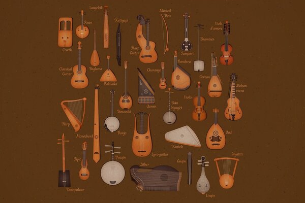 Types of stringed musical instruments